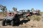 Joshua Trees behind our Side by side vehicles