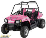 Limited Edition RZR 170 "Pink Power"