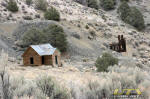 Pine Grove, NV in the Toiyabe National Forest