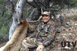 Elk Hunting in Nevada