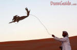 United Arab Emirates - Flacon Training