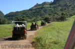 Yamaha Rhinos on Kauai - Kipu Ranch Adventures