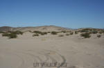 Rasor Dunes OHV Area