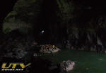 Sea Lion Caves - North of Florence