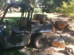 Hauling oak firewood with the Polaris Ranger EV