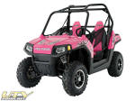 2009 Limited Edition RZR - Passion Pink