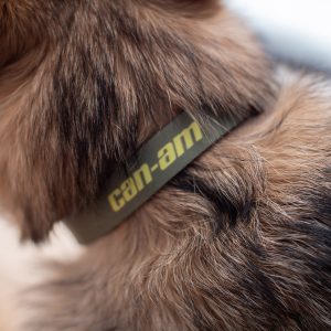 Can-Am Off-Road Dog Leash and Collar